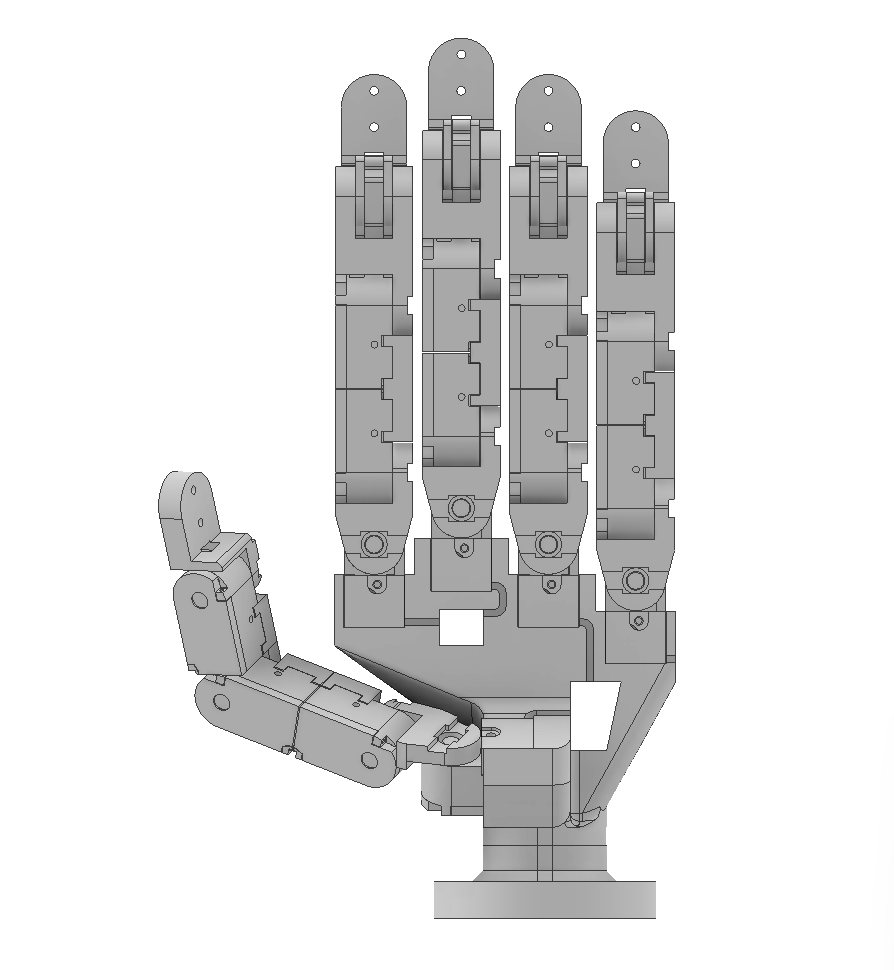 Final CAD with the thumb-specific DIP module