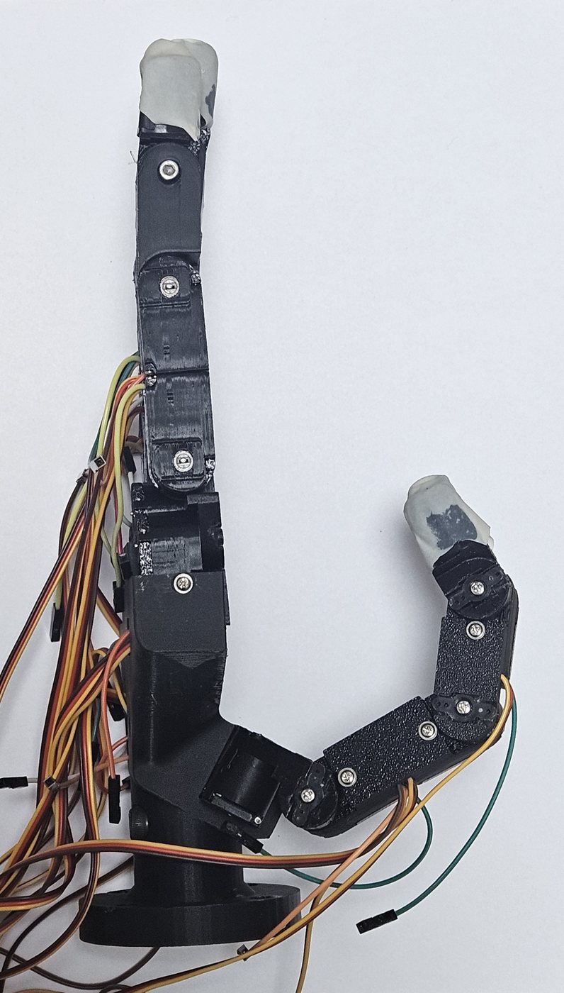 Final fabricated hand, side view