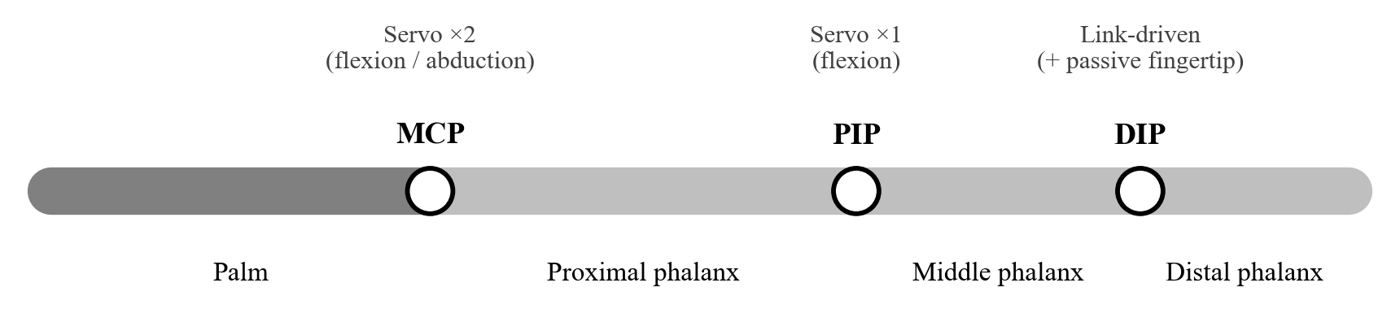 Diagram of one finger: two servos at the MCP joint, one servo at the PIP joint, and a link-driven DIP joint with a passive fingertip