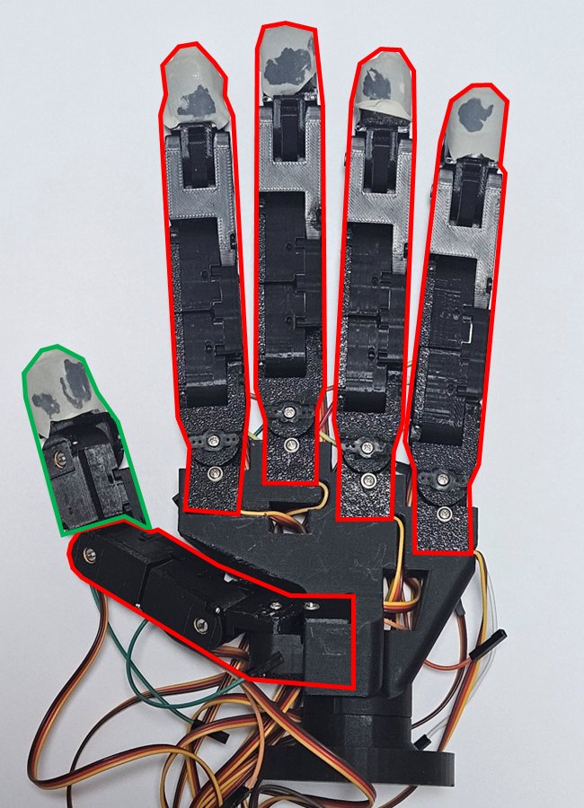 Photo with the common finger structures outlined in red and the thumb-specific DIP part in green